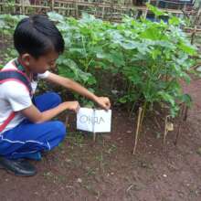 Learning to be organic school gardeners