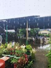 Rain is good for plants but not for students