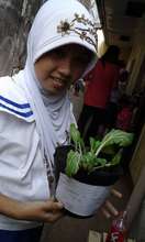 Flower pot veggie garden at Haji Hassiman ES