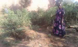 Mucline in her 'dodo' greens and tomatoes gardens