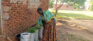 CARETAKER PLANTING VEGETALES AT THE VERANDAH