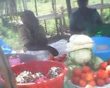 THE BENEFITS OF THE PROJECT