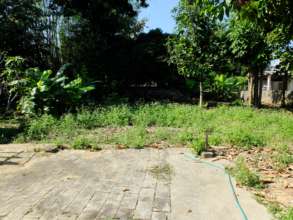 Our future organic garden.