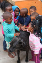 Children meeting Shady, one of our resident dogs