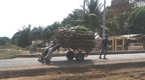 Women and Girls pushing a 2 wheel carrier of woods
