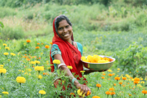 Women Farmer at her farms