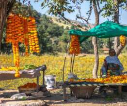 Paru selling garlands and flowers