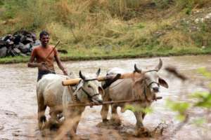 happy farmer makes a country happy