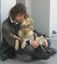 Spay/Neuter up to 20 Pets of the Homeless