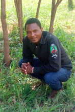 Zeddy