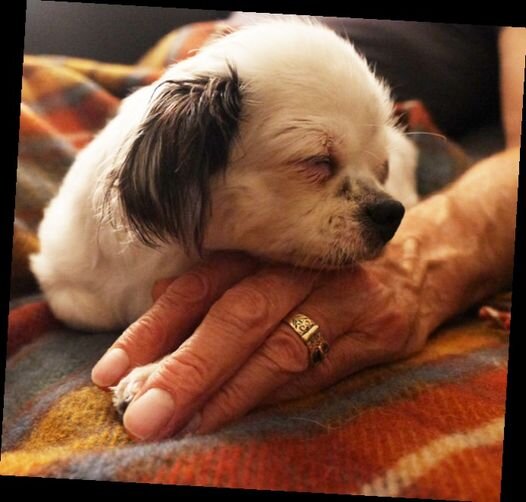 Nurses for Night Care