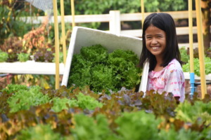 Sustainability garden at PAMA House