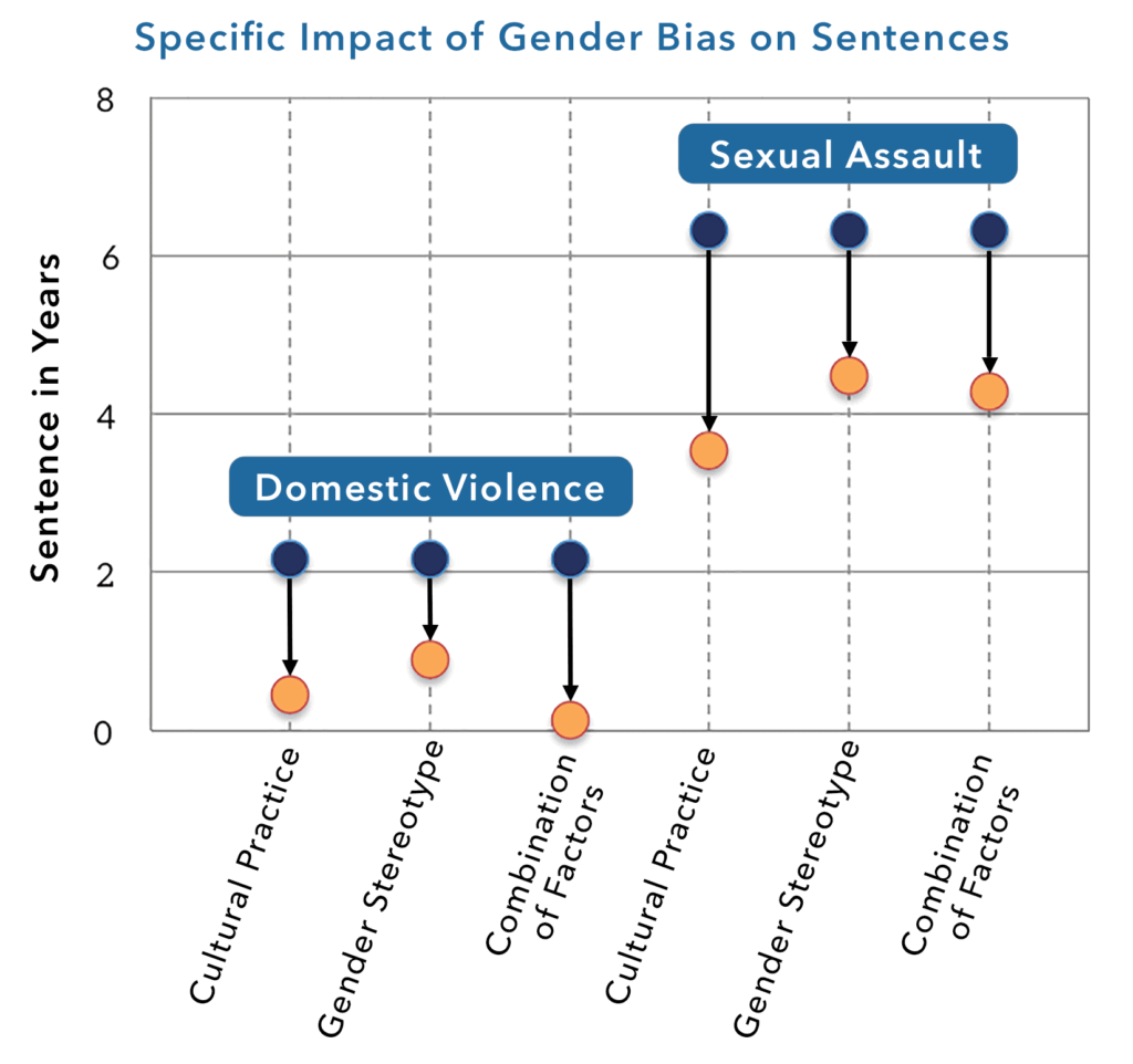 Impact of Gender-Bias in GBV Cases