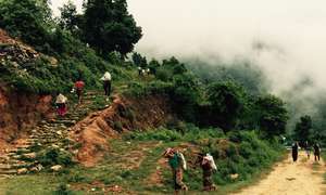 Women carry cement to their village