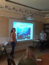 Mentor-mentee pair work