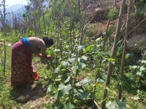 A group member observing the farm.