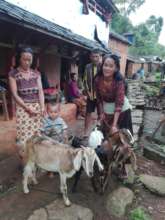 Families in Dhading receiving goats