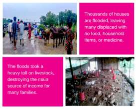 Flooding destroyed Nepalese homes and livelihoods.