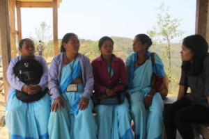 Female Community Health Volunteers