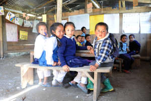 Capacity building and schools