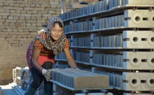 New life after the earthquake