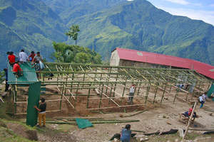 Using local bamboo as the frame for a TLC.
