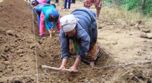 Locals digging foundation for a school
