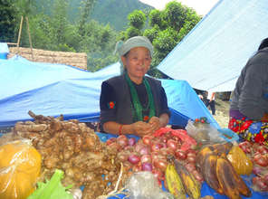 Prime agriculture season in Nepal!