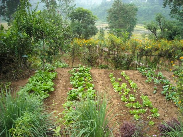 Help Rebuild Nepalese Family Farm & Training Site