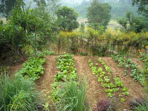 Organic farming at MVEF
