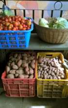 Processed vegetables can be sold at higher prices