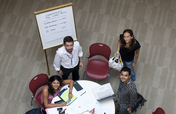 INSEAD annual fund