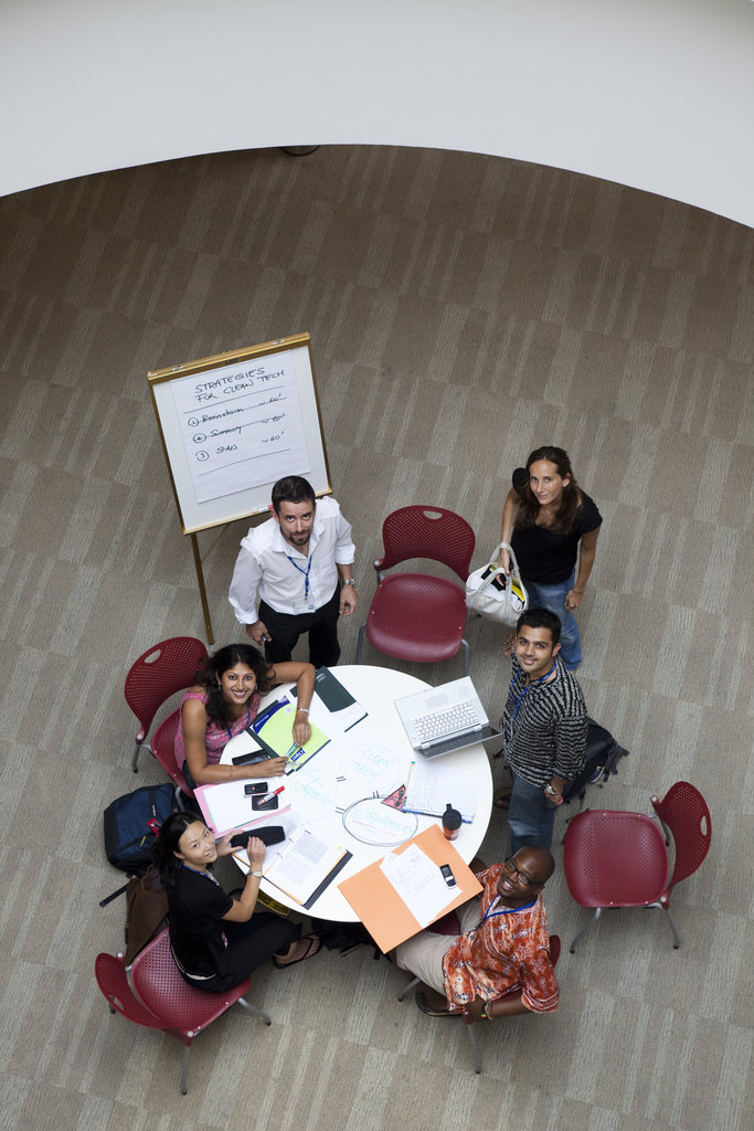 INSEAD annual fund