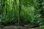 Safe Educational Trails for Kids and Teachers