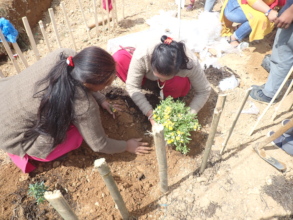 Many of our partner schools will plant a garden.