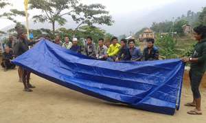 We've provided 655 people with shelter materials