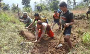 Community participation