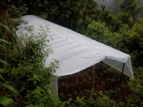 Plastic tunnel Support