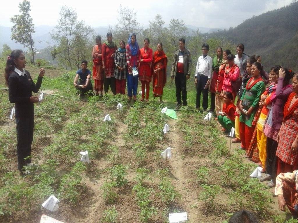 Agriculture Support in Sindupalchowk, Nepal