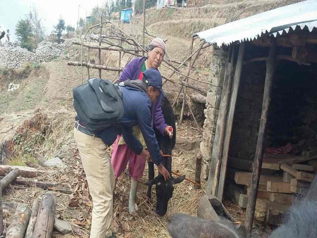 Agriculture Support in Sindupalchowk, Nepal