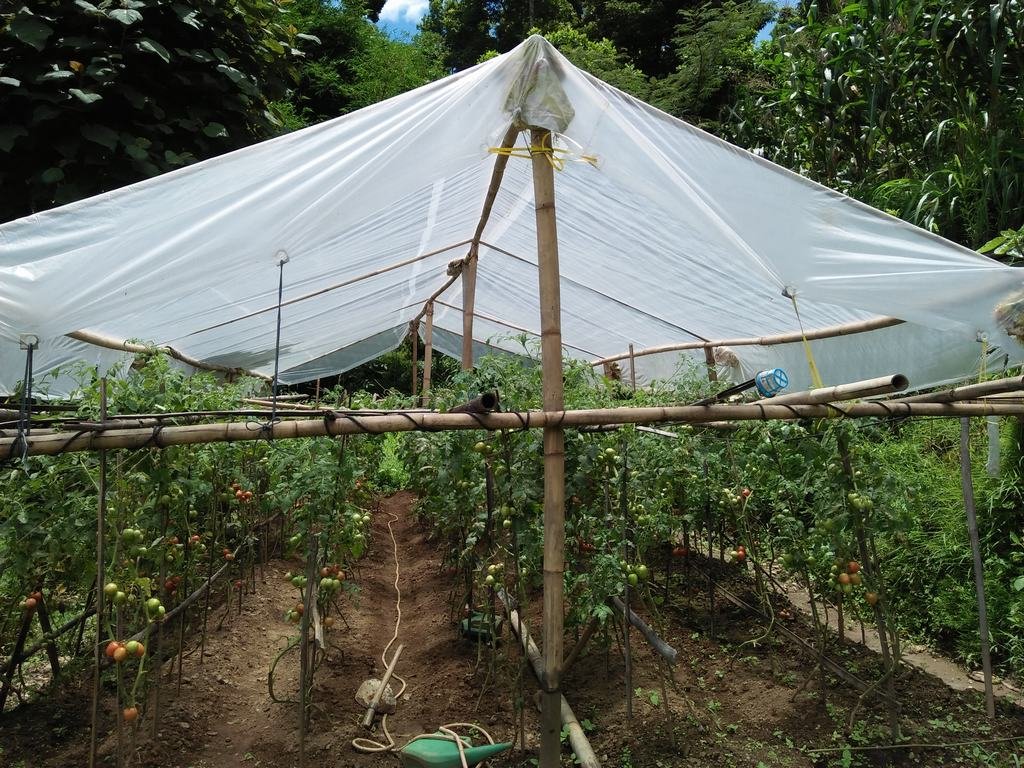 Agriculture Support in Sindupalchowk, Nepal
