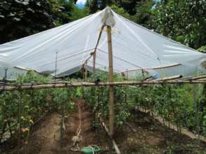 Green House Support