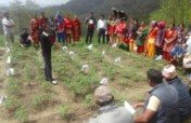 Agriculture Support in Sindupalchowk, Nepal