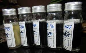 Water test: Black color shows presence of coliform
