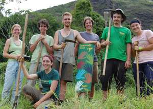 Iracambis ReforesTeam