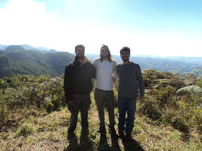 Introducing our Interns!