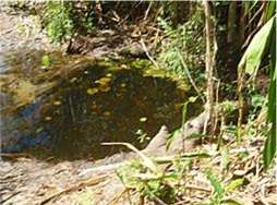 The pool the students drink from