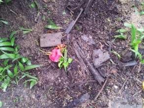 And must pray for them to rest in peace...