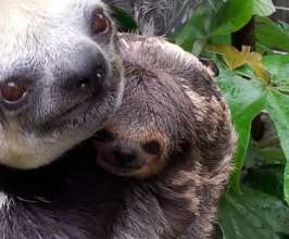 Ann with her baby Isa