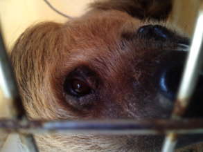 Where will you take me?